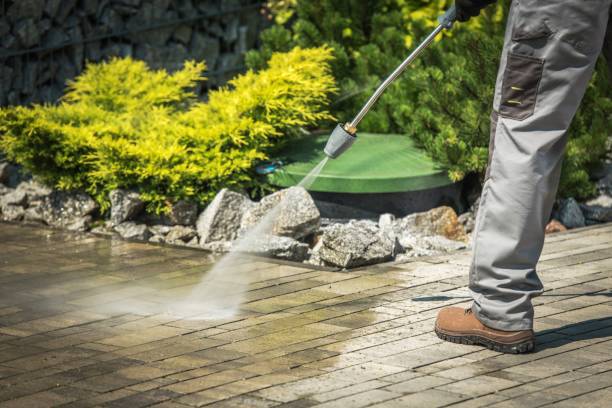 Best Restaurant Pressure Washing  in Palm Harbor, FL