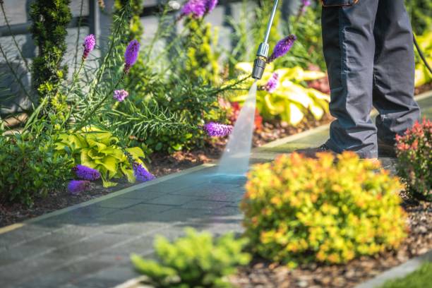 Best Post-Construction Pressure Washing  in Palm Harbor, FL