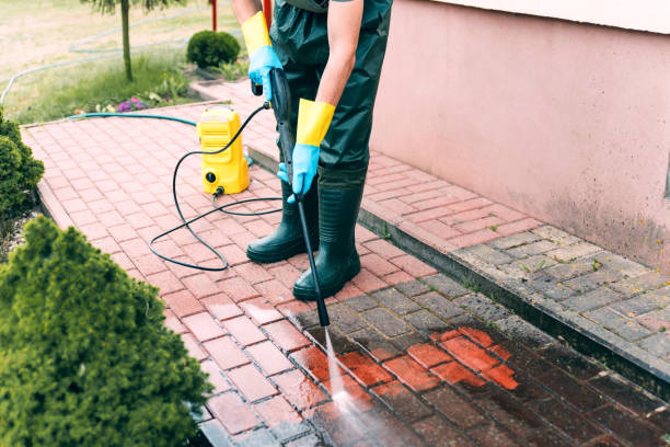 Best Playground Equipment Cleaning  in Palm Harbor, FL