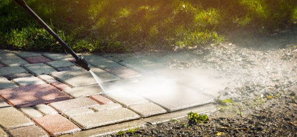 Best Driveway Pressure Washing  in Palm Harbor, FL